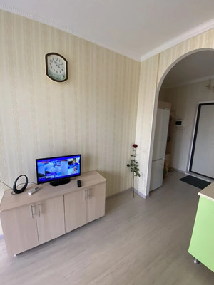 Продам однокомнатную (1-комн.) квартиру, Роз (Центральный р-н) ул, 36, Сочи г