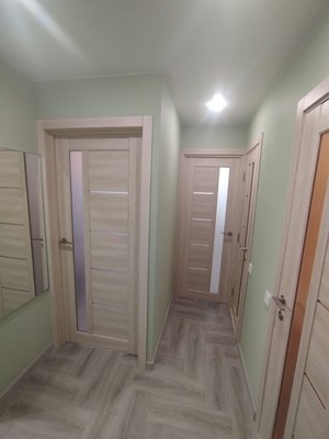 Сдам однокомнатную (1-комн.) квартиру, Энгельса пр-кт, 139/21, Санкт-Петербург г
