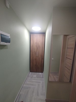 Сдам однокомнатную (1-комн.) квартиру, Энгельса пр-кт, 139/21, Санкт-Петербург г