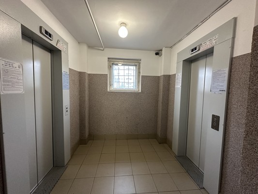 Сдам однокомнатную (1-комн.) квартиру, Энгельса пр-кт, 139/21, Санкт-Петербург г