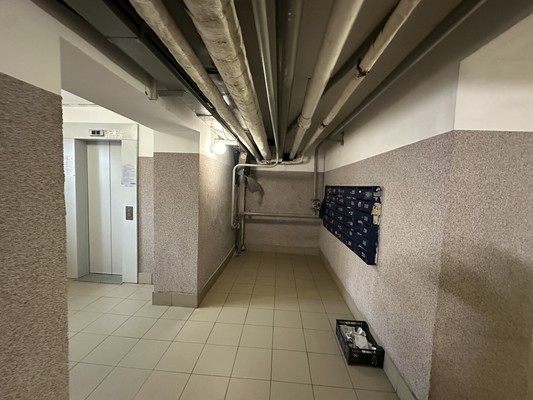 Сдам однокомнатную (1-комн.) квартиру, Энгельса пр-кт, 139/21, Санкт-Петербург г