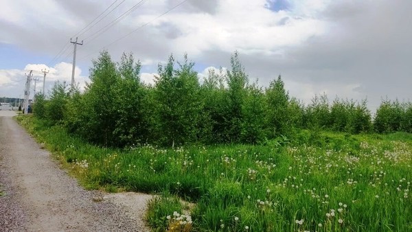 Продам участок 10 соток, ИЖС, КП Ясный тер, Курганье д, 0 км от города