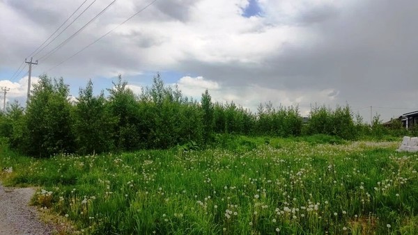 Продам участок 10 соток, ИЖС, КП Ясный тер, Курганье д, 0 км от города