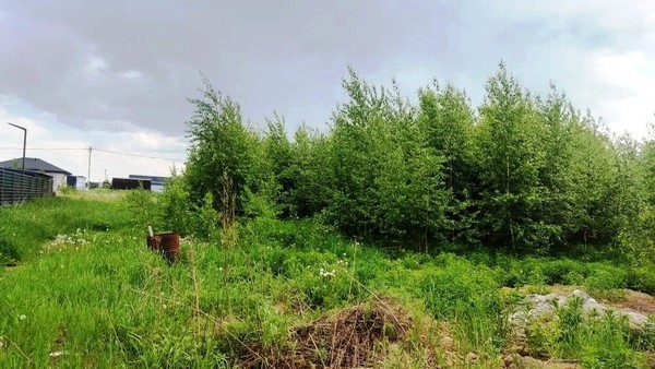 Продам участок 10 соток, ИЖС, КП Ясный тер, Курганье д, 0 км от города