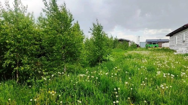 Продам участок 10 соток, ИЖС, КП Ясный тер, Курганье д, 0 км от города