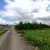 Продам участок 10 соток, ИЖС, КП Ясный тер, Курганье д, 0 км от города