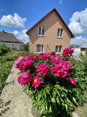 Продам дом, Южная ул, Холмогоровка п, 0 км от города