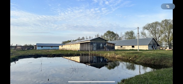 Продам землю для коммерческого использования 272 соток, Фермерское хоз., 4-я Луговая ул, Ворщиково д