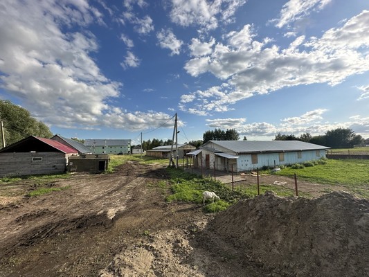 Продам землю для коммерческого использования 272 соток, Фермерское хоз., 4-я Луговая ул, Ворщиково д