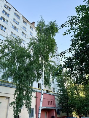 Продам однокомнатную (1-комн.) квартиру, Рихарда Зорге ул, 39, Казань г
