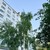 Продам однокомнатную (1-комн.) квартиру, Рихарда Зорге ул, 39, Казань г