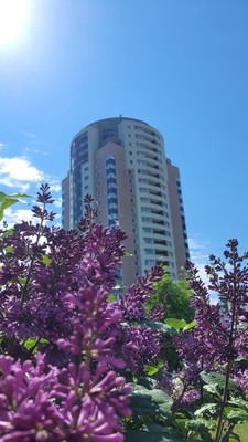 Продам однокомнатную (1-комн.) квартиру, Объездная ул, 59а, Ханты-Мансийск г