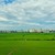 Продам однокомнатную (1-комн.) квартиру, Воронцовский б-р, 19к1, Мурино п