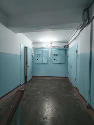 Продам однокомнатную (1-комн.) квартиру, Комсомольская ул, 241А, Южно-Сахалинск г