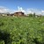 Продам участок 8,5 соток, ИЖС, Фиолетовая ул, 21, Загуры д, 0 км от города