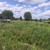 Продам участок 13,6 соток, Фермерское хоз., Южная аллея, 20, Новое Заостровье тер. СНТ, 0 км от города