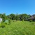 Продам участок 6 соток, Фермерское хоз., Заречная ул, 78, Лесное тер. ТСН, 0 км от города