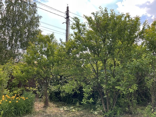 Продам дом, 2-я Заречная ул, 13, Сынково с, 0 км от города