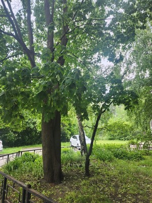 Сдам трехкомнатную (3-комн.) квартиру, Симонова ул, 10к2, Санкт-Петербург г