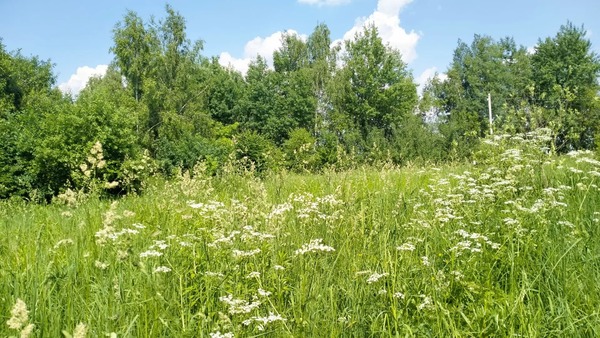 Продам участок 8 соток, ИЖС, Центральная ул, Свистягино д, 0 км от города