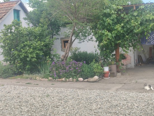 Продам дом, Солнечная ул, 32, Денисовка с, 0 км от города