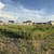 Продам участок 4,2 соток, Фермерское хоз., Лесная ул, Ростов-на-Дону г, 0 км от города