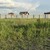 Продам участок 4,2 соток, Фермерское хоз., Лесная ул, Ростов-на-Дону г, 0 км от города