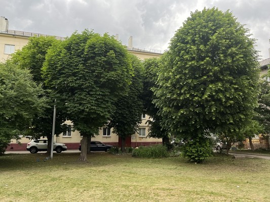 Продам двухкомнатную (2-комн.) квартиру, Красноармейская ул, 21, Калининград г