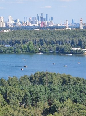 Продам однокомнатную (1-комн.) квартиру, 100 кв-л, 1, Москва г