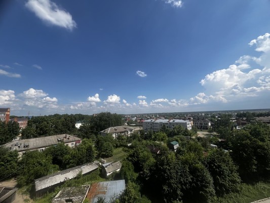 Продам однокомнатную (1-комн.) квартиру, Липовая ул, 10, Семеновка с