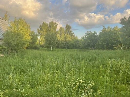 Продам коттедж, Южная (Борисоглебское) ул, 26, Казань г, 0 км от города
