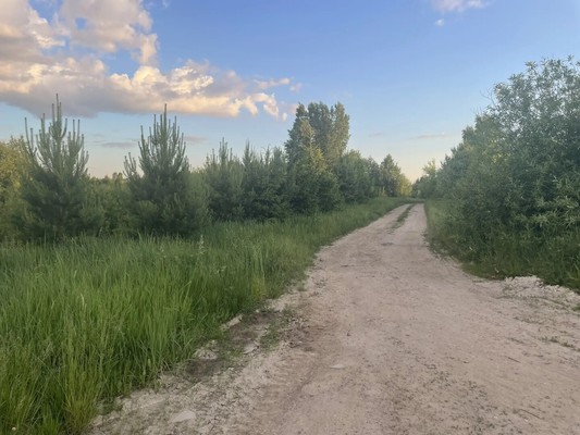 Продам коттедж, Южная (Борисоглебское) ул, 26, Казань г, 0 км от города