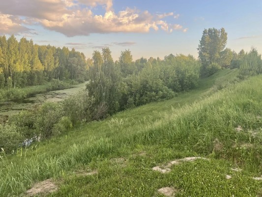 Продам коттедж, Южная (Борисоглебское) ул, 26, Казань г, 0 км от города