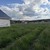 Продам дом, Трудовая ул, Доброе с, 0 км от города