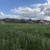 Продам дом, Трудовая ул, Доброе с, 0 км от города