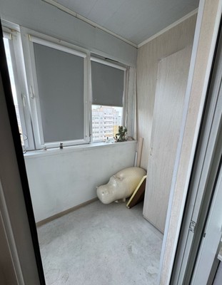 Продам однокомнатную (1-комн.) квартиру, Парашютная ул, 56к1, Санкт-Петербург г