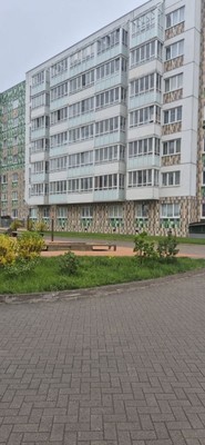 Продам однокомнатную (1-комн.) квартиру, Голландская (Янила Кантри мкр) ул, 3к1, Янино-1 гп