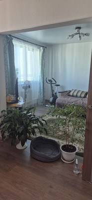 Продам однокомнатную (1-комн.) квартиру, Голландская (Янила Кантри мкр) ул, 3к1, Янино-1 гп