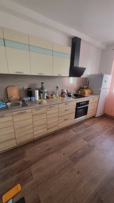 Продам однокомнатную (1-комн.) квартиру, Голландская (Янила Кантри мкр) ул, 3к1, Янино-1 гп
