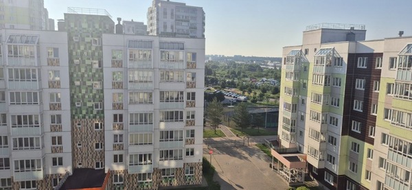 Продам однокомнатную (1-комн.) квартиру, Голландская (Янила Кантри мкр) ул, 3к1, Янино-1 гп