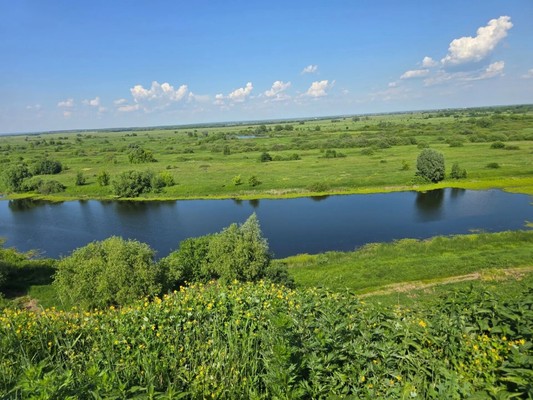Продам дом, 1-го Мая ул, 13, Рязань г, 0 км от города