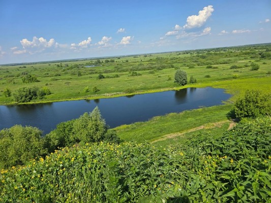 Продам дом, 1-го Мая ул, 13, Рязань г, 0 км от города