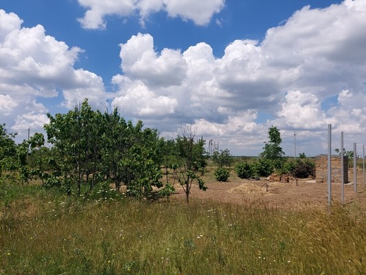 Продам участок 4 соток, Фермерское хоз., Мира ул, Урожайное с, 0 км от города