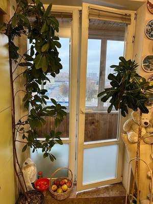 Продам двухкомнатную (2-комн.) квартиру, Строительная ул, 3а, Красногорск г
