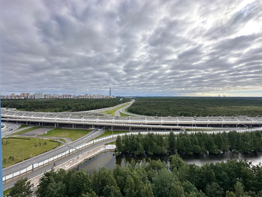 Продам однокомнатную (1-комн.) квартиру, Планерная ул, 63к1, Санкт-Петербург г