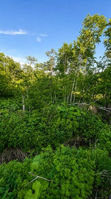 Продам участок 10 соток, Фермерское хоз., Мечты ул, Южно-Сахалинск г, 0 км от города