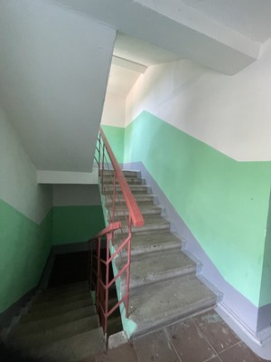 Продам однокомнатную (1-комн.) квартиру, Шатурская (Байкал тер. СНТ) ул, 10, Шатурторф п