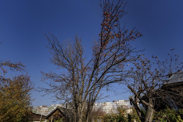 Продам дом, Конструкторская ул, 12, Пермь г, 0 км от города
