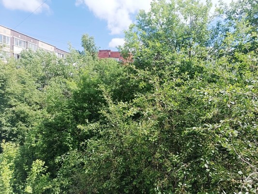 Продам двухкомнатную (2-комн.) квартиру, Генерала Кныша ул, 1, Гатчина г