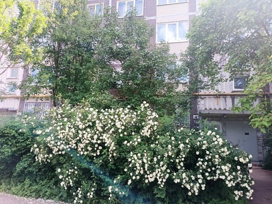 Продам двухкомнатную (2-комн.) квартиру, Генерала Кныша ул, 1, Гатчина г